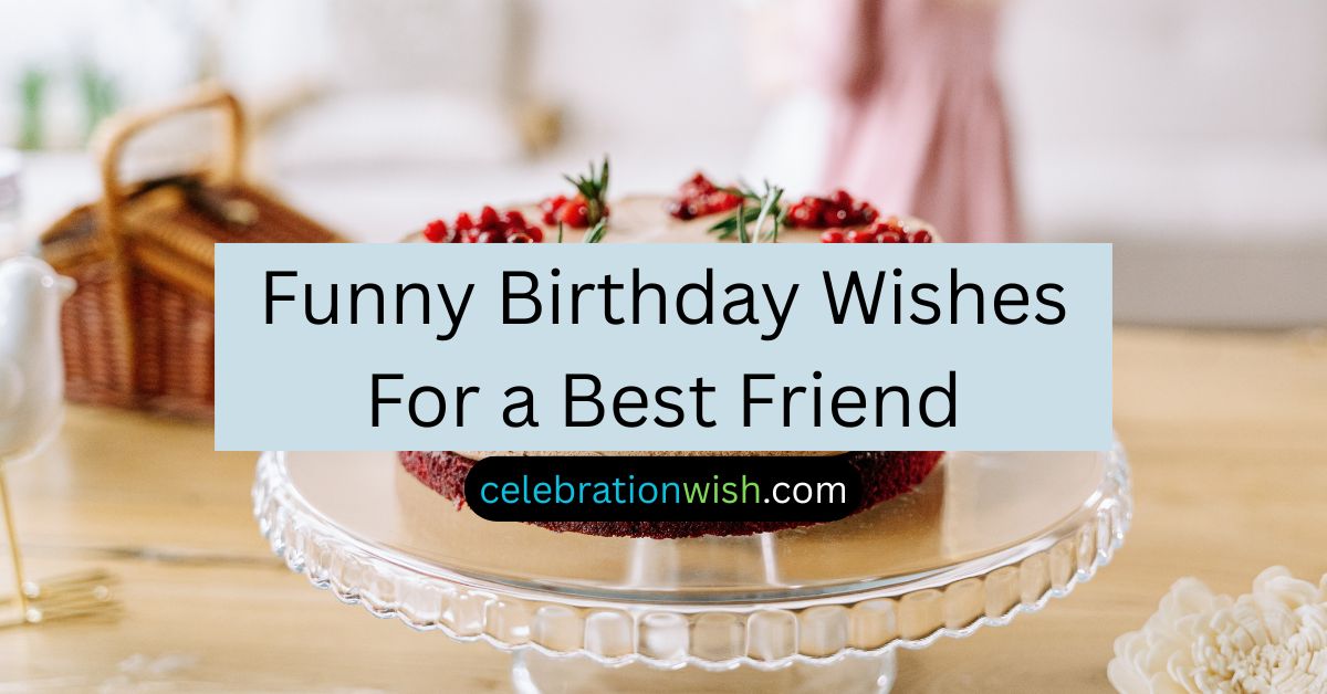 Funny Birthday Wishes For a Best Friend